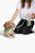 Load image into Gallery viewer, Harness - Southlake Paws

