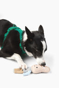 Load image into Gallery viewer, Peanut Nose Work Dog Toy - Southlake Paws
