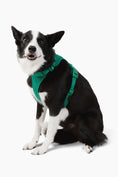 Load image into Gallery viewer, Harness - Southlake Paws
