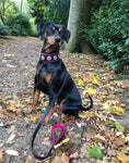 Load image into Gallery viewer, "Bijou" collar black & pink
