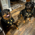 Load image into Gallery viewer, "Maximus Black" BIG dog SET- Harness - collar - lead. Brass rivets
