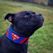 Superdog Collar 