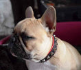 Load image into Gallery viewer, The "Rock" collar
