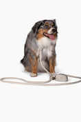 Load image into Gallery viewer, Harness - Southlake Paws

