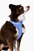 Load image into Gallery viewer, Harness - Southlake Paws
