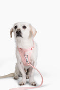 Load image into Gallery viewer, Harness - Southlake Paws
