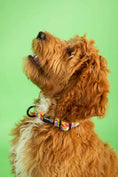 Load image into Gallery viewer, Tutti Frutti Collar
