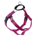 Load image into Gallery viewer, Raspberry Freedom No-Pull Dog Harness
