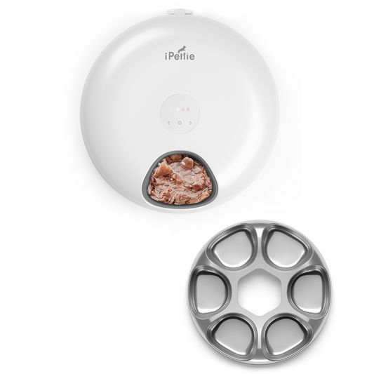 Donut Frost Automatic Pet Feeder, WiFi Version - Southlake Paws
