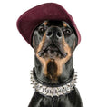 Load image into Gallery viewer, The "Metal" collar- personalized!
