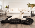 Load image into Gallery viewer, PupRug Faux Fur Orthopedic Dog Bed - Curve Midnight Black
