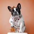 Load image into Gallery viewer, Oh Snap! Adjustable Harness

