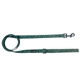 Load image into Gallery viewer, Evergreen Dream Leashes
