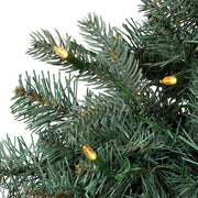 Kurt Adler 24-Inch Battery-Operated LED Noble Fir Wreath With Warm White Lights