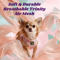 Load image into Gallery viewer, EcoBark Step In Dog Harness - XXXS to Small Breeds- Reflective Soft Mesh Harness for Teacup, Small Dogs and Puppies / Baby Pink
