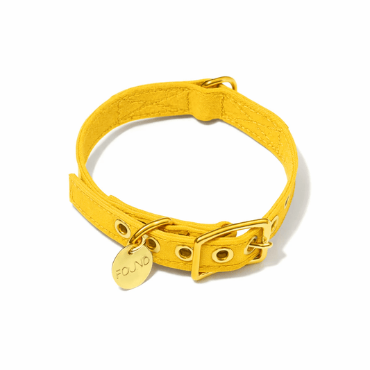 Dog Collars Premium Yellow Cotton Canvas Cat & Dog Collar