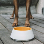 White and yellow ceramic dog bowl