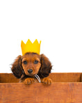Load image into Gallery viewer, BRIGHT PARTY CROWNS
