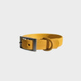Load image into Gallery viewer, Everyday Collar - Southlake Paws
