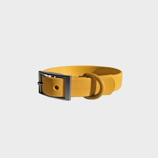 Everyday Collar - Southlake Paws