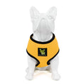 Load image into Gallery viewer, EcoBark Yellow Dog Harness - Over-the-Head Soft Mesh Dog Vest Halter for Small to Medium Dogs and Puppies
