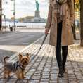Load image into Gallery viewer, EcoBark Step In Dog Harness - XXXS to Small Breeds- Reflective Soft Mesh Harness for Teacup, Small Dogs and Puppies / Houndstooth
