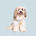 Load image into Gallery viewer, Boho Baby Adjustable Harness
