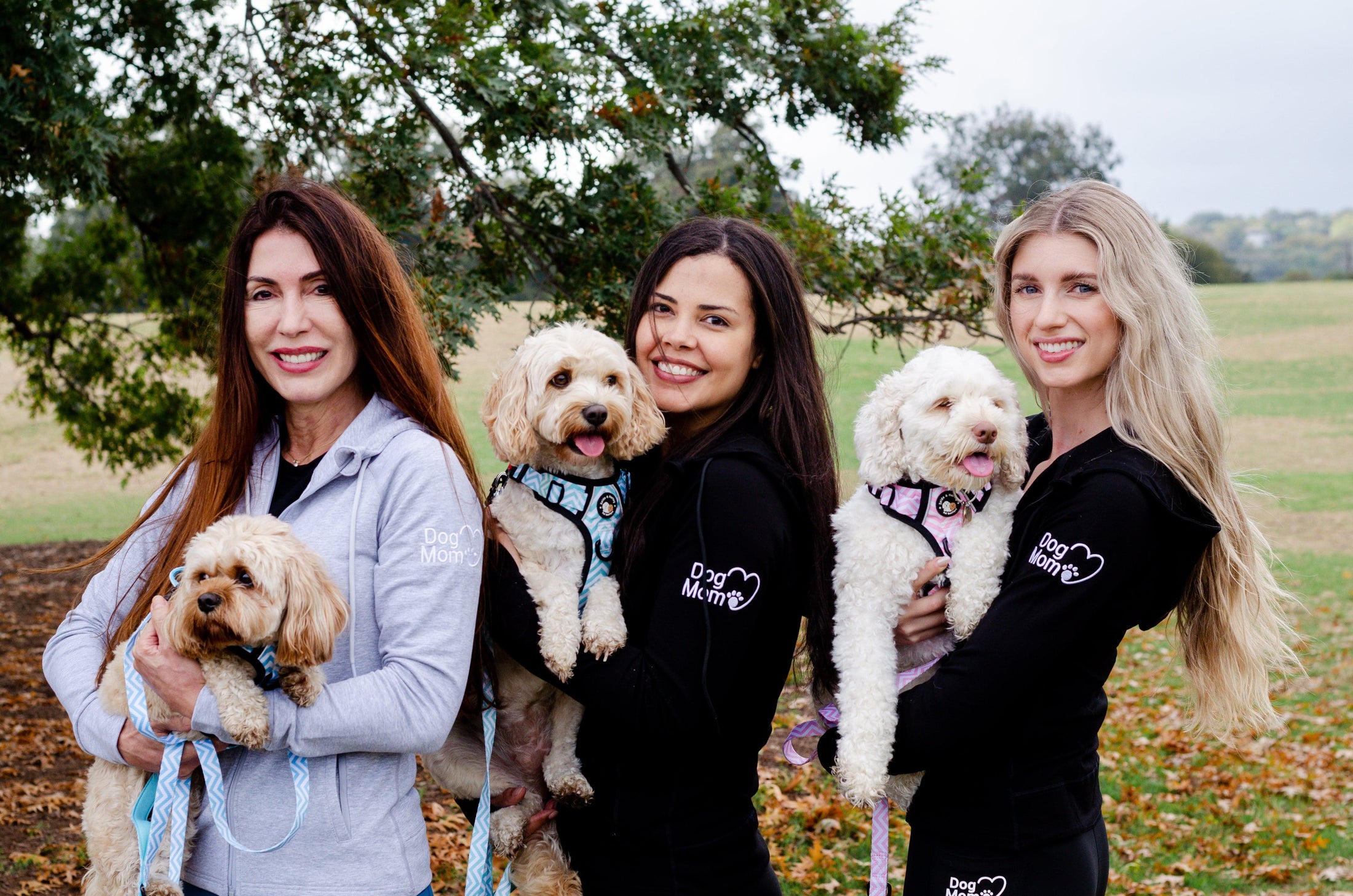 Dog Mom Adventures Full Zip Hooded Jacket - Black. 