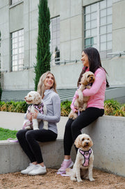 Dog Mom Essentials Full Zip Jacket - Grey 