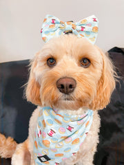 Barking Brunch Bandana 