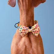 Club Pupicana Dog Collar & Free Bow Tie 