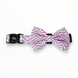 Zig Zag Wag Dog Collar & Free Bow Tie - Pastel Purple