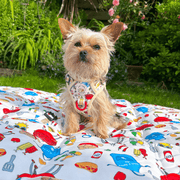 Hot Dawg - Dog Travel Mat 