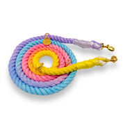 Hands Free Rope Leash - Rainbow