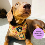 Club Pupicana - No Pull Adjustable Dog Harness 