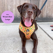 Club Pupicana - No Pull Adjustable Dog Harness 