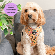 Club Pupicana - No Pull Adjustable Dog Harness 
