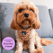 Club Pupicana - No Pull Adjustable Dog Harness 