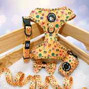 Club Pupicana - No Pull Adjustable Dog Harness 