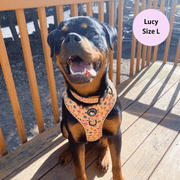 Club Pupicana - No Pull Adjustable Dog Harness 