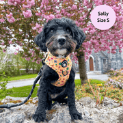 Club Pupicana - No Pull Adjustable Dog Harness 