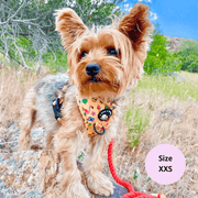 Club Pupicana - No Pull Adjustable Dog Harness 