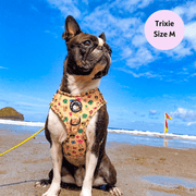 Club Pupicana - No Pull Adjustable Dog Harness 