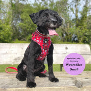 Hairy Pawter - No Pull Adjustable Dog Harness 