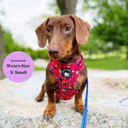 Hairy Pawter - No Pull Adjustable Dog Harness 