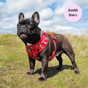 Hairy Pawter - No Pull Adjustable Dog Harness 