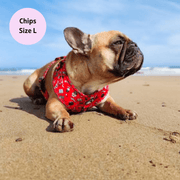 Hairy Pawter - No Pull Adjustable Dog Harness 