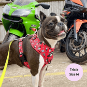 Hairy Pawter - No Pull Adjustable Dog Harness 