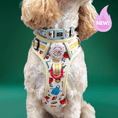 Load image into Gallery viewer, Hot Dawg - Adventure No Pull Harness 
