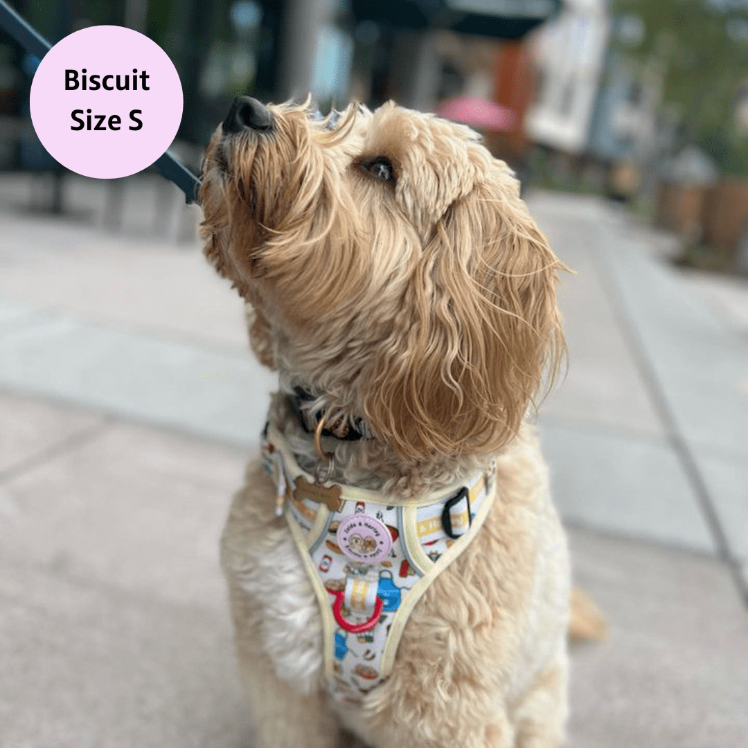 Hot Dawg - Adventure No Pull Harness 